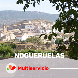 nogueruelasmsr