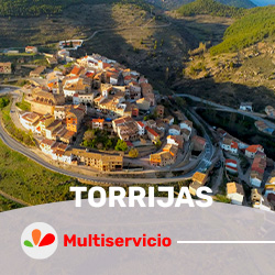torrijasmsr