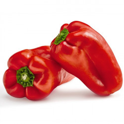 Pimiento rojo (unidad)