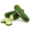 Pepino (unidad)