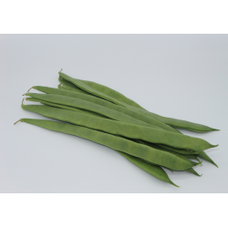 Judia (kilo)