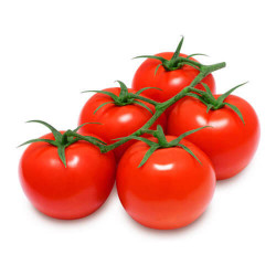 Tomate en rama (kilo)